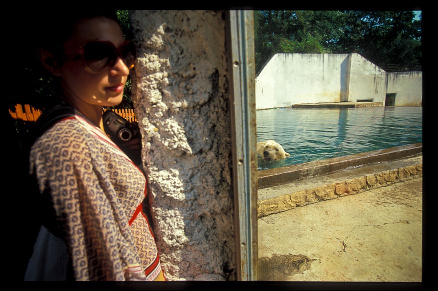 zoo1