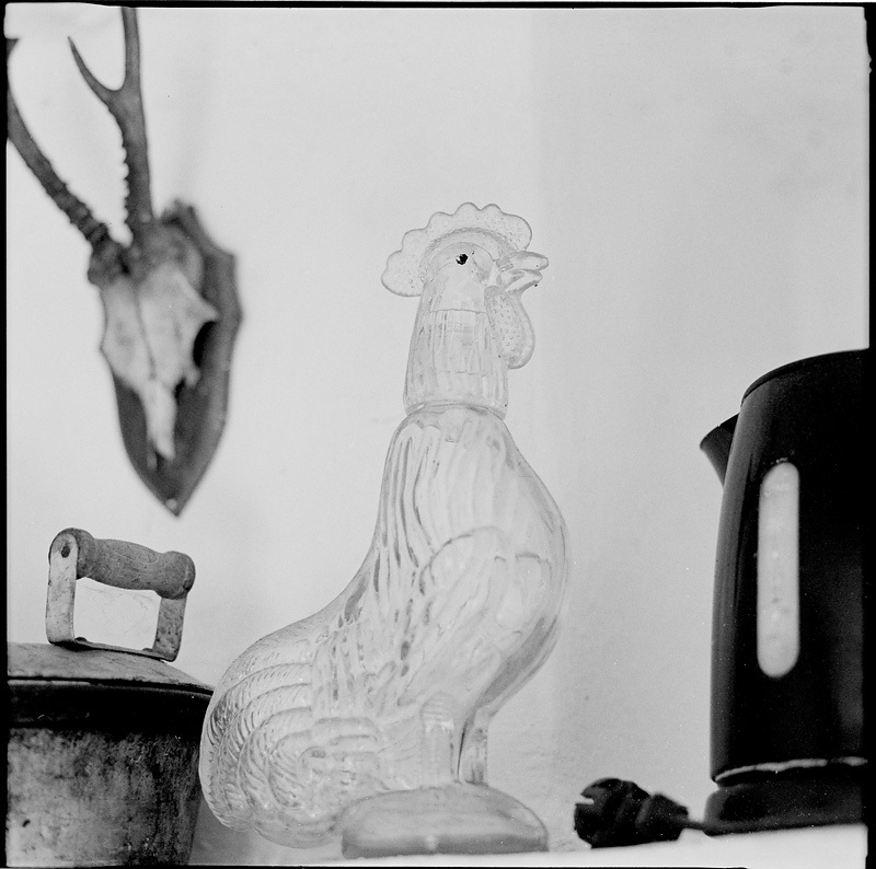 tarnowiec mamiya rz67 6x6