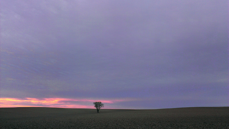 htc one s