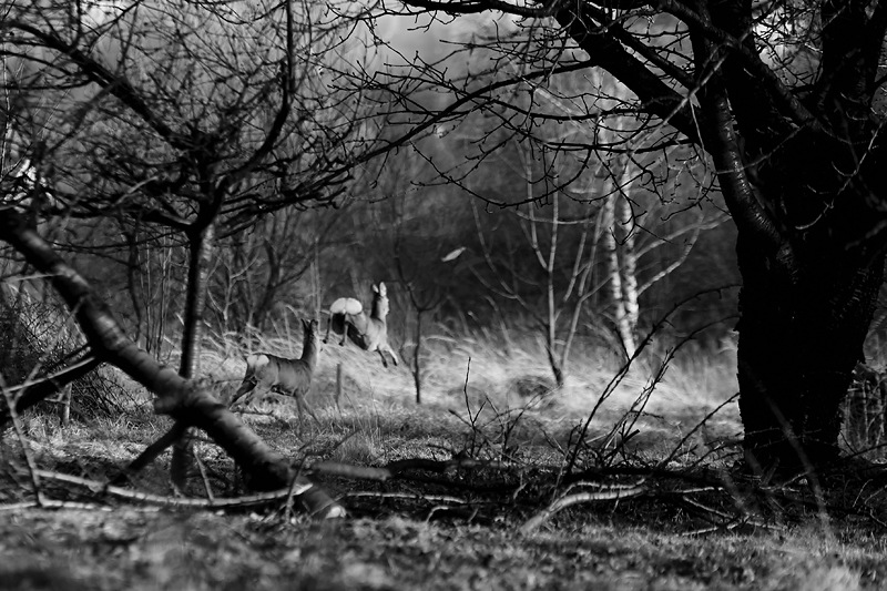 fotograf_rzeszow_07