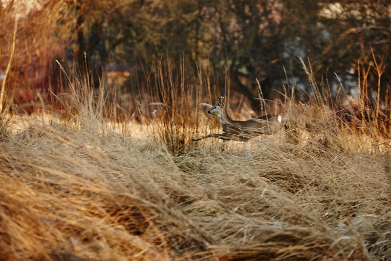 fotograf_rzeszow_12