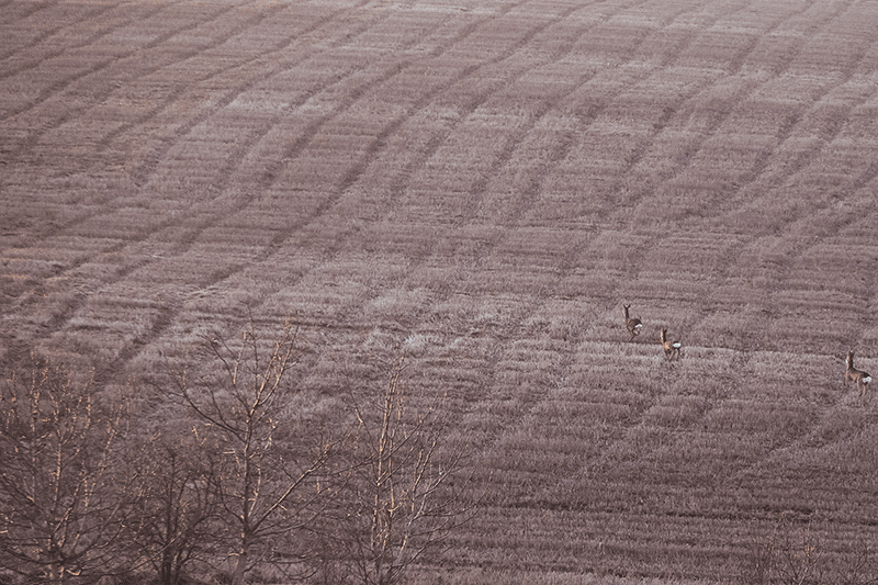 fotograf_rzeszow_14
